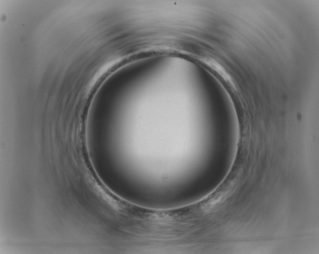 X0000089710799200706211342