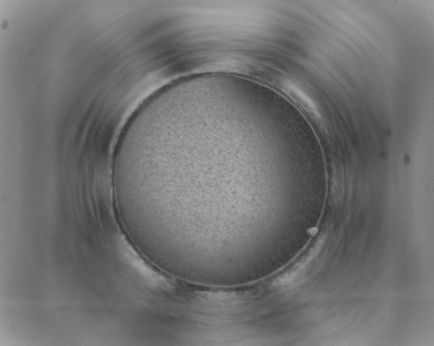 X0000089710800200706211342