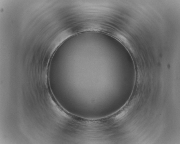 X0000089710802200706211342