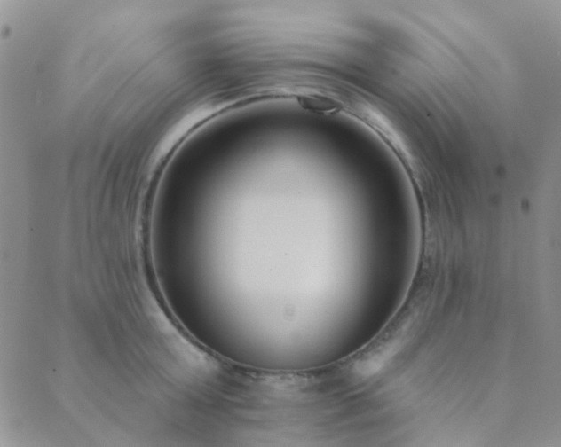 X0000089710803200706211342