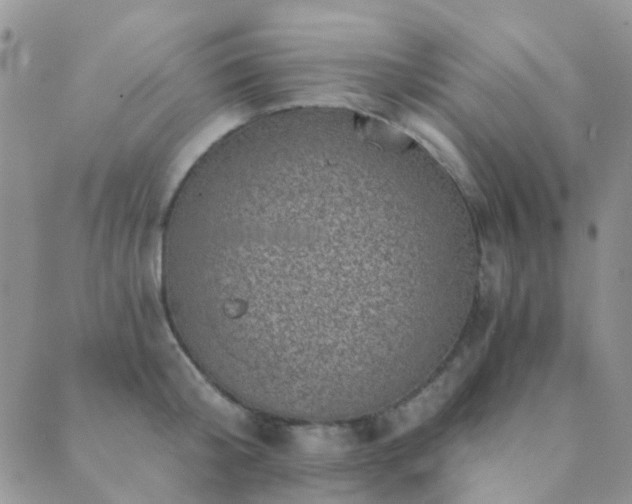 X0000089710804200706211342