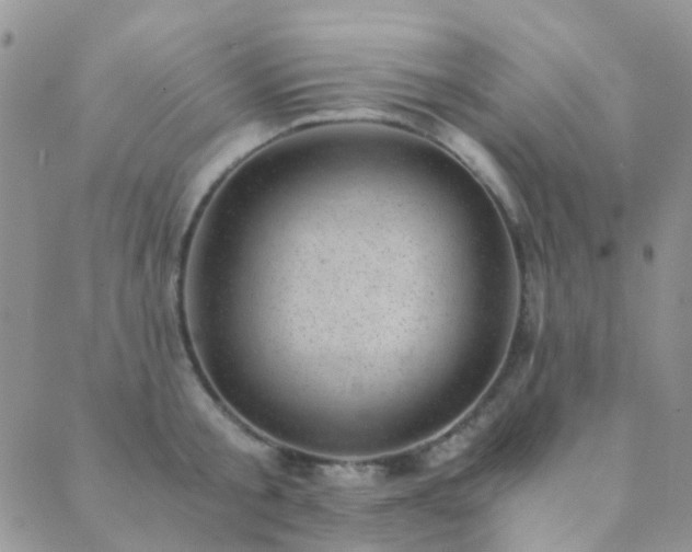 X0000089710805200706211342