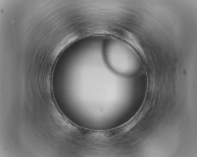 X0000089710806200706211342