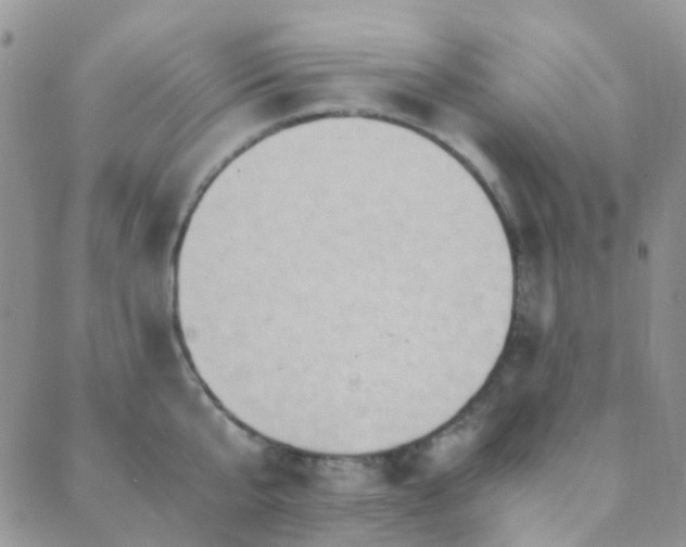 X0000089710807200706211342