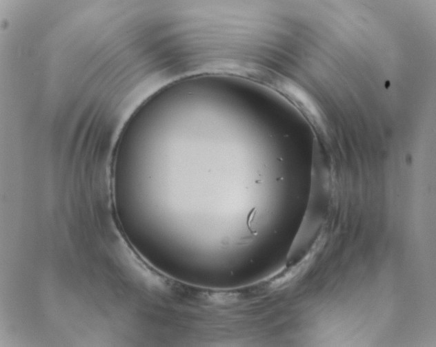 X0000089710808200706211342