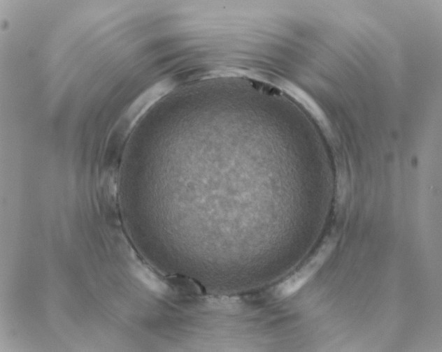 X0000089710809200706211342