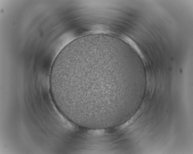 X0000089710810200706211342