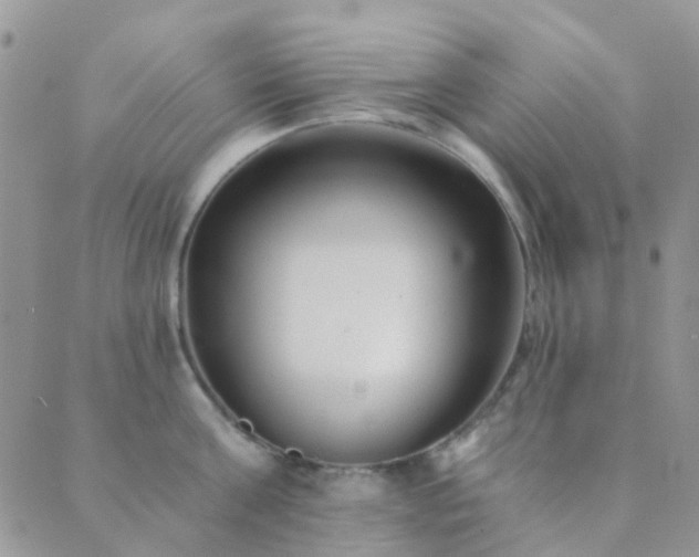 X0000089710811200706211342