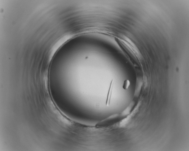 X0000089710812200706211342