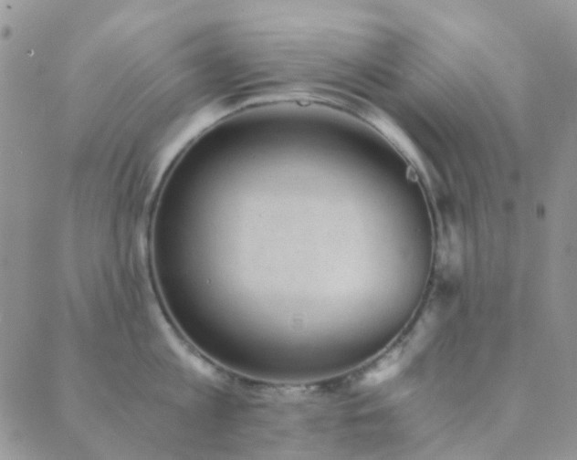 X0000089710813200706211341