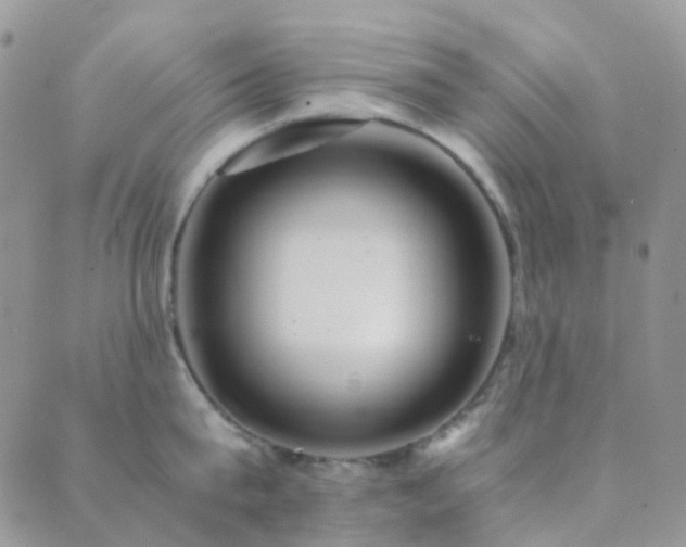 X0000089710815200706211341