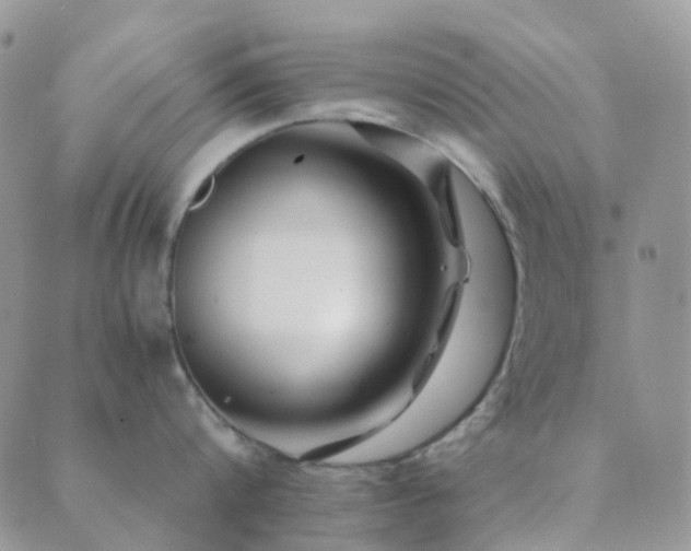 X0000089710816200706211341