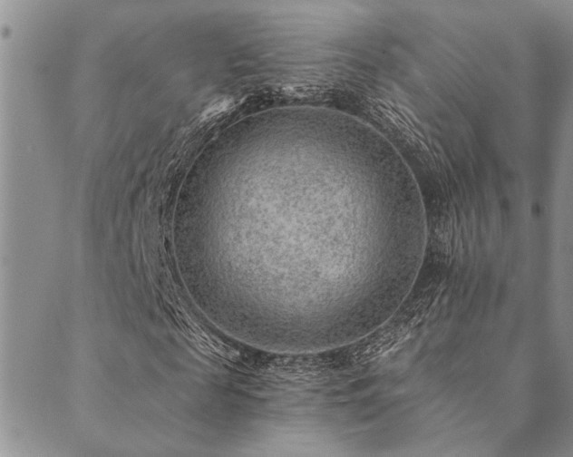 X0000089710817200706211341