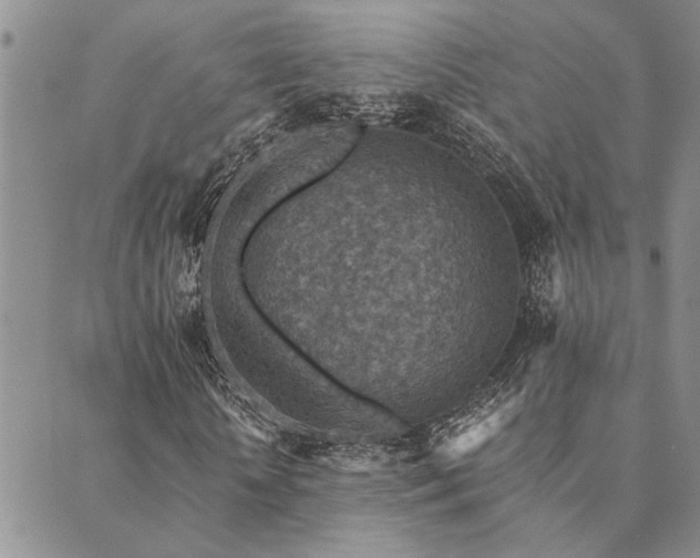 X0000089710818200706211341