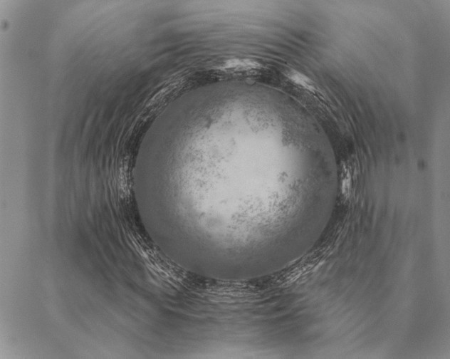 X0000089710819200706211341