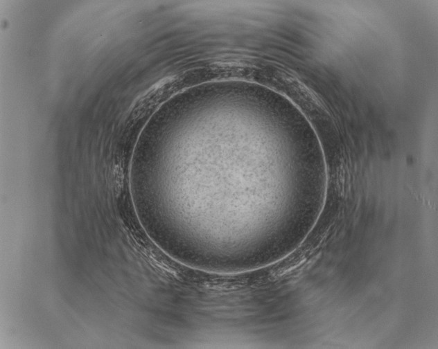 X0000089710821200706211341