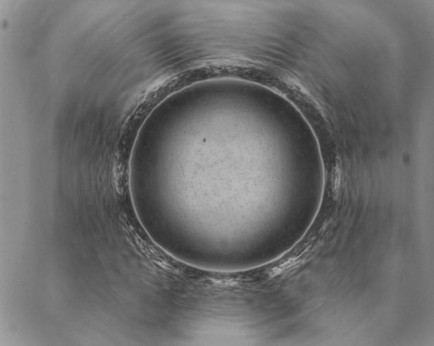 X0000089710822200706211341