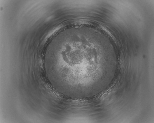 X0000089710823200706211341