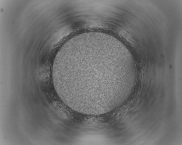 X0000089710824200706211341