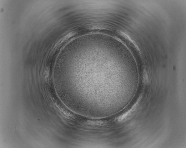 X0000089710825200706211341