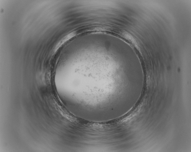 X0000089710827200706211341