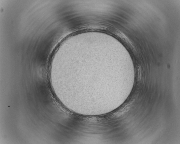 X0000089710828200706211341