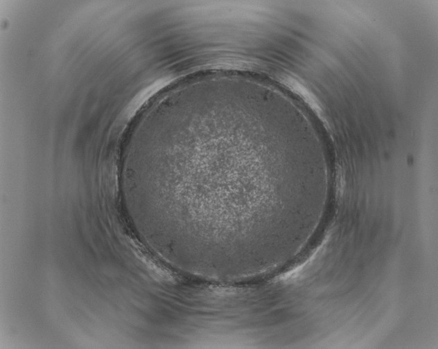 X0000089710829200706211341