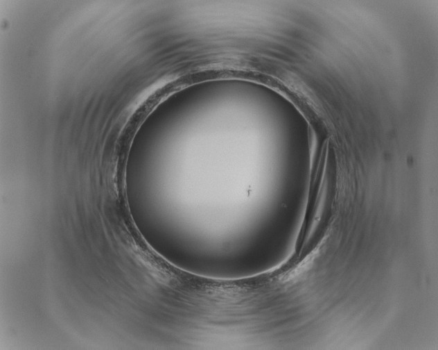 X0000089710830200706211341