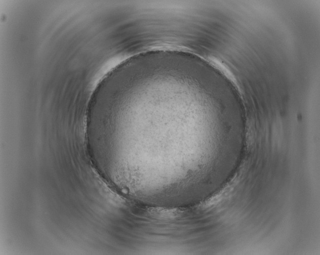 X0000089710831200706211341