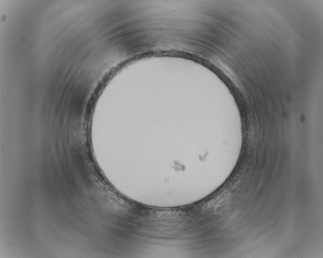 X0000089710832200706211341