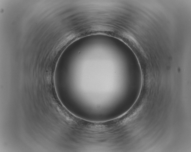 X0000089710833200706211341