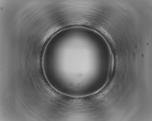 X0000089710834200706211341