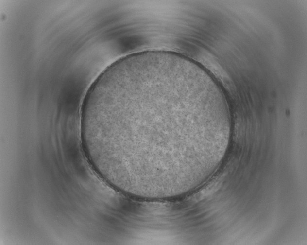 X0000089710836200706211341