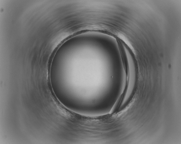 X0000089710837200706211341