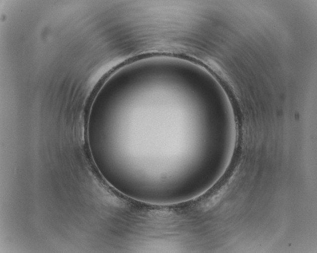 X0000089710838200706211341