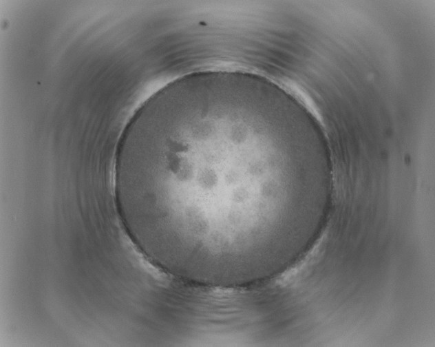 X0000089710839200706211341