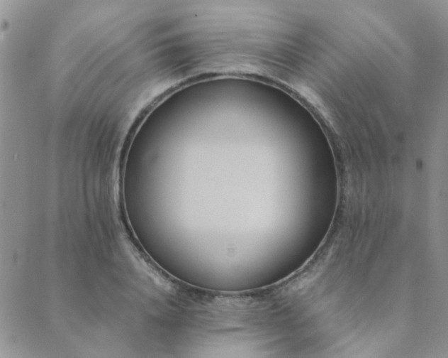 X0000089710840200706211341