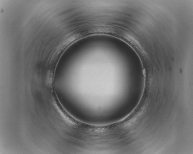 X0000089710841200706211341