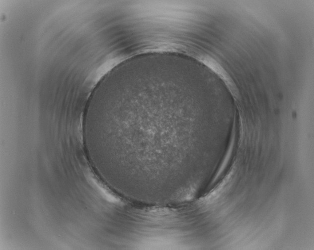 X0000089710842200706211341