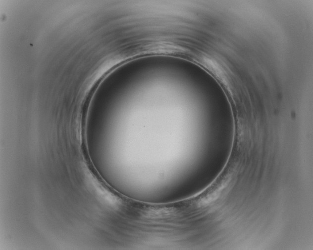 X0000089710843200706211341