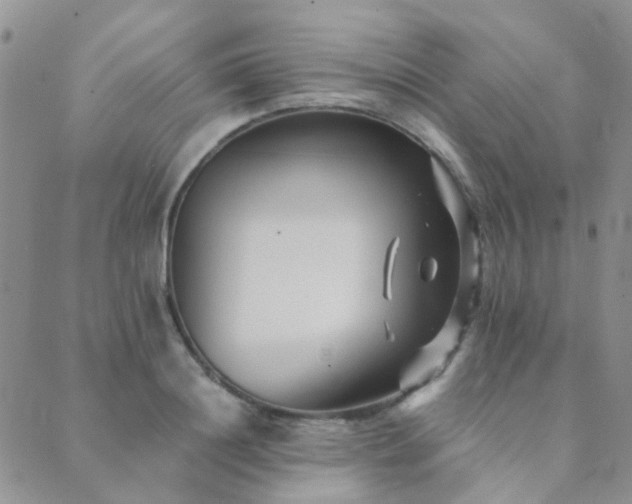 X0000089710844200706211341