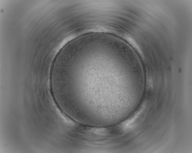 X0000089710845200706211341