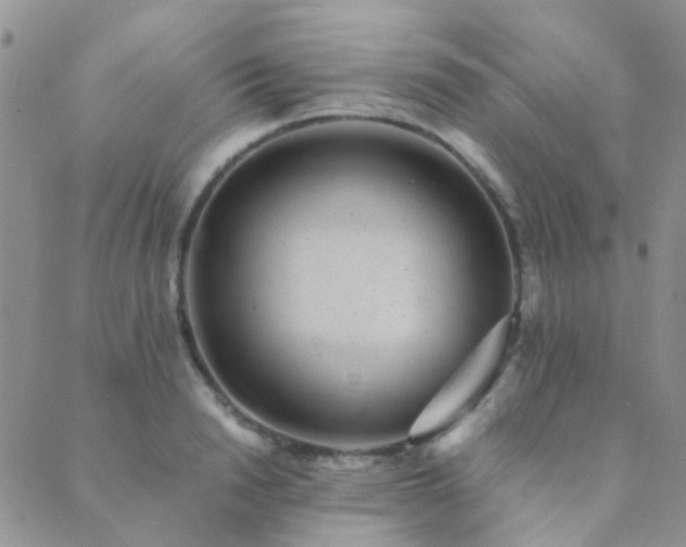 X0000089710846200706211341