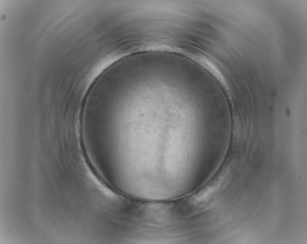 X0000089710847200706211341