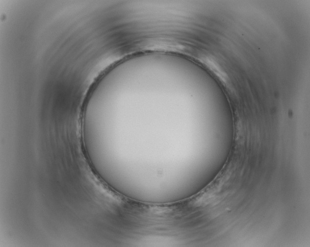 X0000089710848200706211341