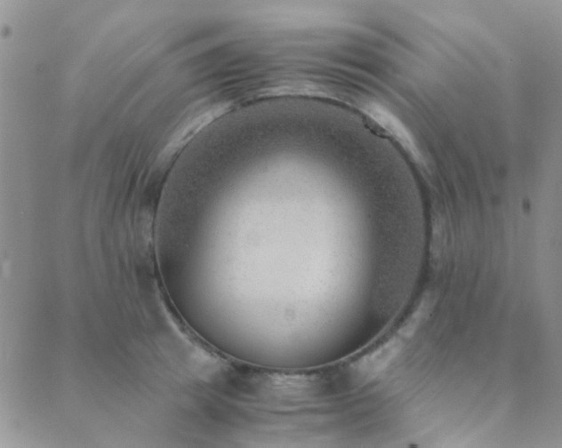 X0000089710849200706211341