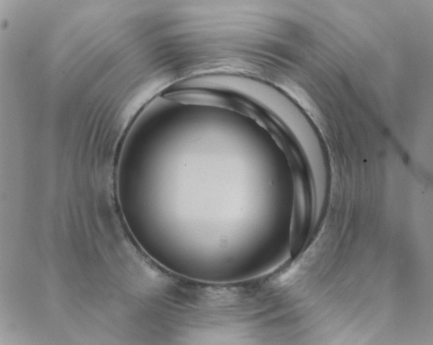 X0000089710850200706211341