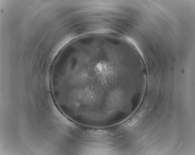 X0000089710851200706211341