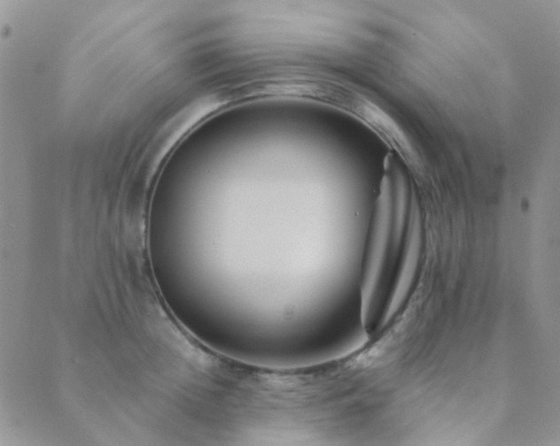 X0000089710852200706211341