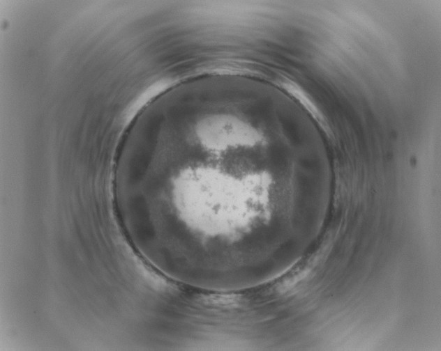 X0000089710853200706211341